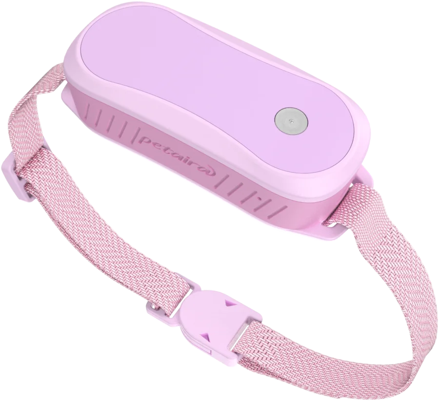 Petaira collar in Blossom Pink